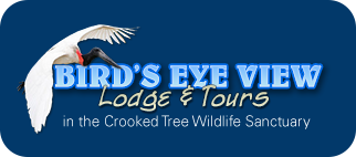 Birds-eye-view-lodge.png