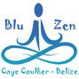 Blu-Zen-logo.jpg